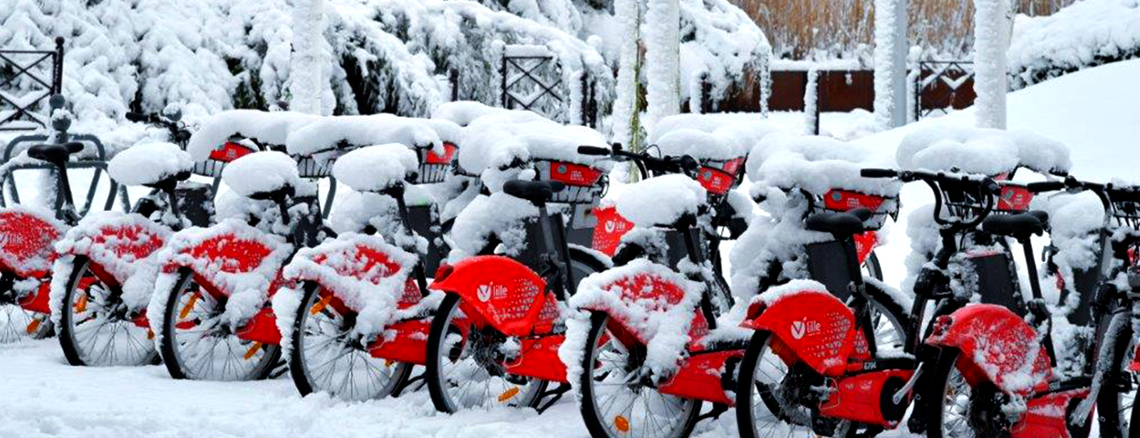 vel lille sous la neige